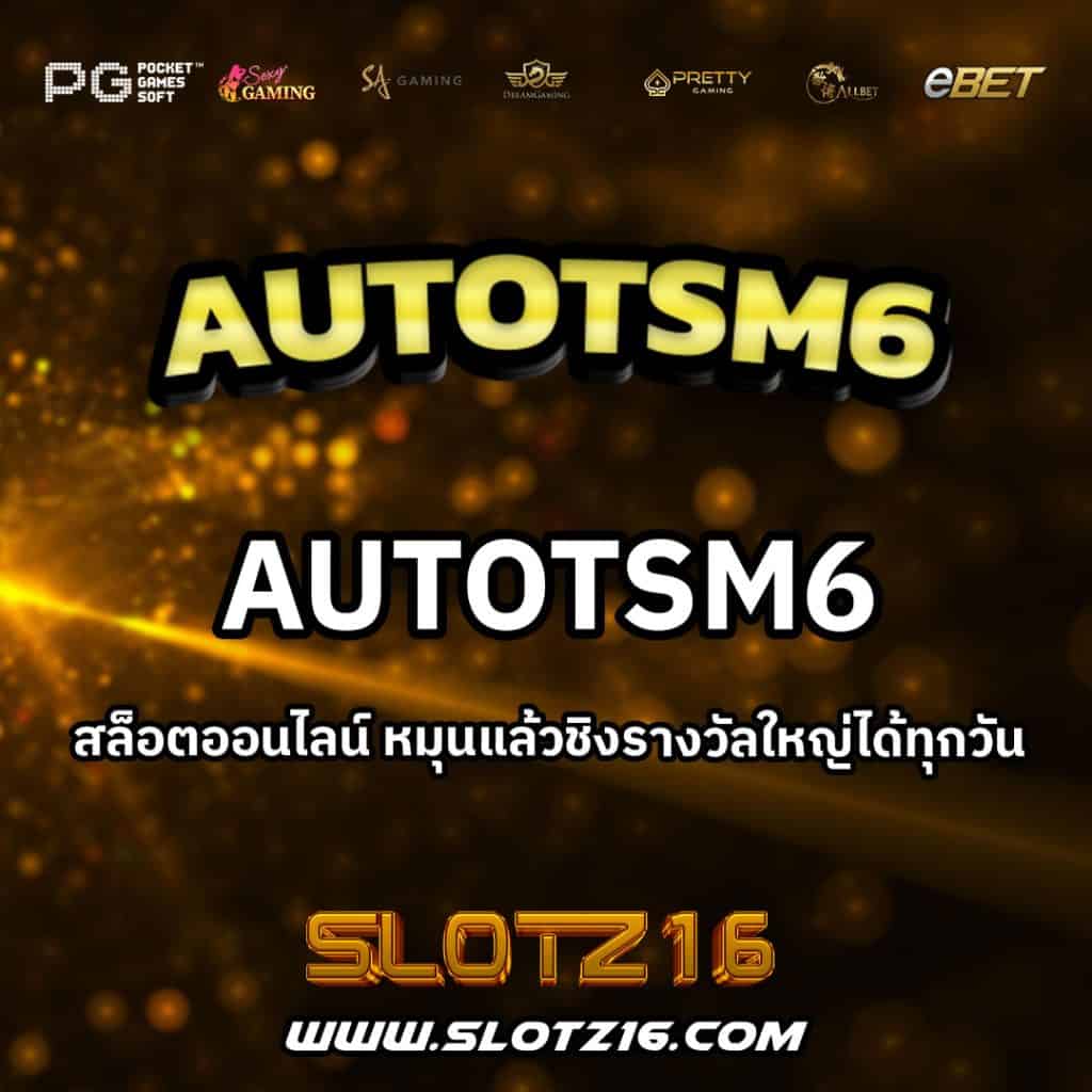 AutoTSM6