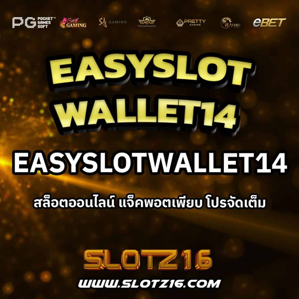 EasySlotWallet14
