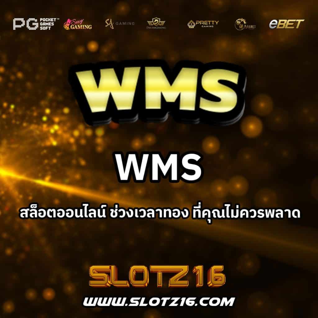 WMS
