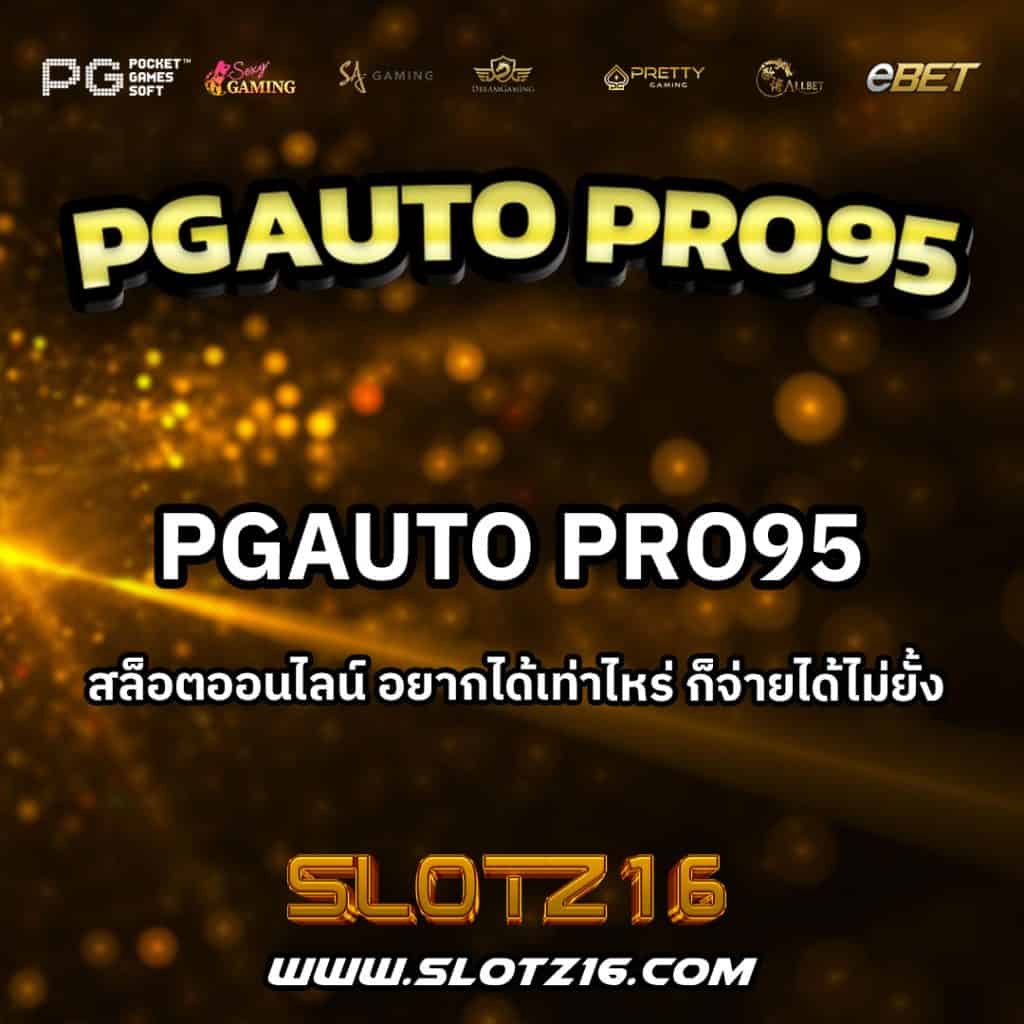 Pgautopro95